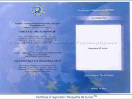 certificado_aliya_valeeva005