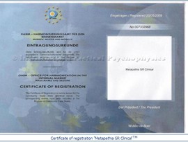 certificado_aliya_valeeva006
